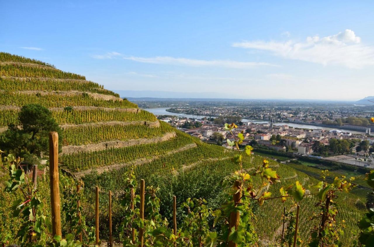 Charmant Appartement T2 Dans Villa Avec En Supplement Spa Exterieur De Mai A Septembre Laveyron Exteriér fotografie